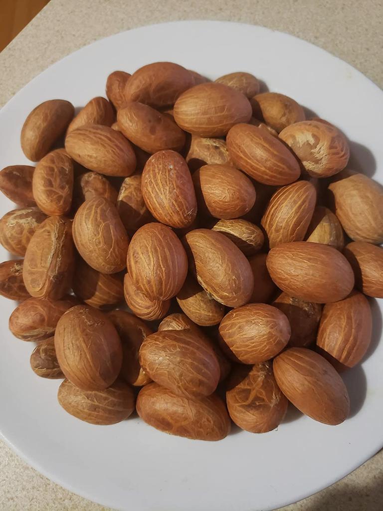 Product image - Bitter Kola Nut Garcinia Kola Cola 1 Lb